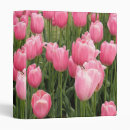 Search for bloom binders Tulips