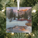 Search for estes park colorado ornaments Winter