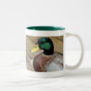 Search for two ducks mugs Water
