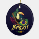 Search for brazil ornaments South america