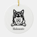 Search for alaskan malamute ornaments Dog