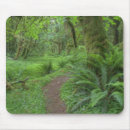 Search for jamie mousepads National park