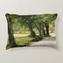 Search for roads pillows Countryside