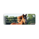 Search for quarter horse return address labels Horseback riding