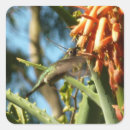Search for chin stickers Hummingbird