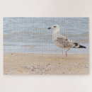 Search for gull puzzles Sea