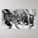 Recherche de funny dog posters Puppy