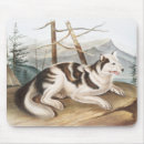 Search for dog drawing mousepads Vintage