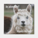 Search for alpaca magnets Adventure