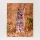 Search for hunting puzzles Wild