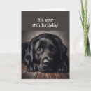 Recherche de noir labrador retriever vœux cartes Drôle