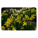 Recherche de jaune et blanc magnets Floral