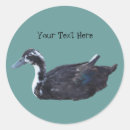 Search for cute duck stickers Farm animals