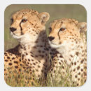 Search for conservancy stickers Animal
