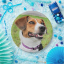 Search for beagle plates Cute