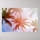 Search for borneo posters Malaysia
