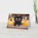 Search for black cat halloween cards Pumpkins