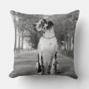 Search for harlequin great dane decor Pets