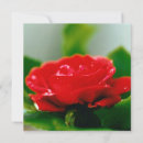 Search for birthday valentines day cards Flowers