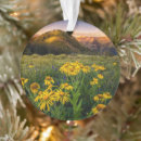 Search for meadow ornaments Landscape