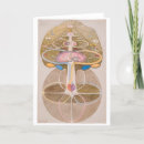 Search for knowledge cards Symbolism