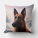 Recherche de malinois coussins Dog