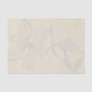 Search for parchment paper Nature