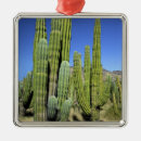 Search for pipe organ ornaments Cacti