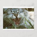 Search for fanged postcards Fangs