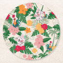 Search for animated coasters Moana