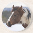 Recherche de trier dessous de verres Animaux