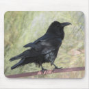 Search for raven mousepads Black