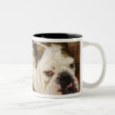 Search for sofa mugs Colour image