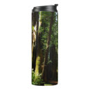 Search for fern travel mugs Nature