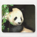 Search for panda mousepads Wild