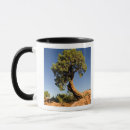 Recherche de friel tasses Ciel
