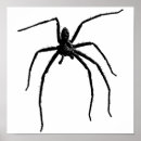 Recherche de arachnide posters Illustration