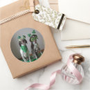 Search for dog st patricks day stickers Funny