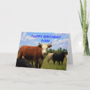 Search for hereford cow postcards Angus