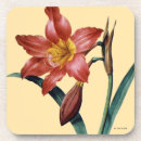 Search for flora barware Redoute