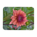 Search for décorative magnets Floral