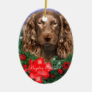 Search for boykin spaniel ornaments Xmas