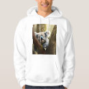 Search for koala bear hoodies Wildlife