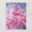 Recherche de creatures cartes postales Corail