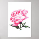 Search for flower drawings posters Illustration