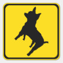 Search for pet alert stickers Warning