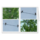 Recherche de roux photographie Animal