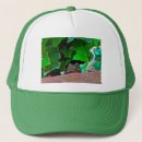 Search for frog hats Wildlife