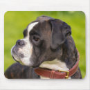 Search for boxer dogs mousepads Cute