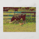 Search for cow and chicken postcards Farm